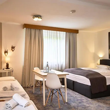 Hotel Landgasthof Hirsch 2*