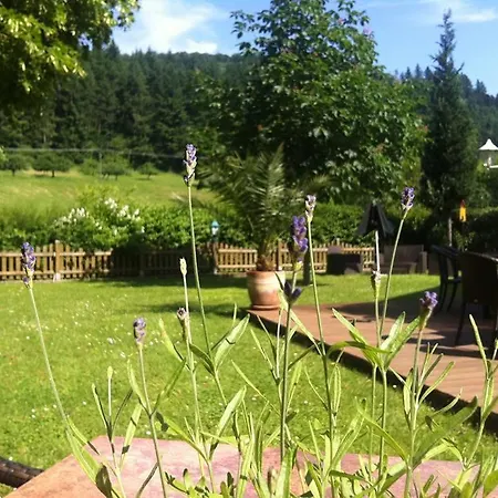 Landgasthof Hirsch Hotel
